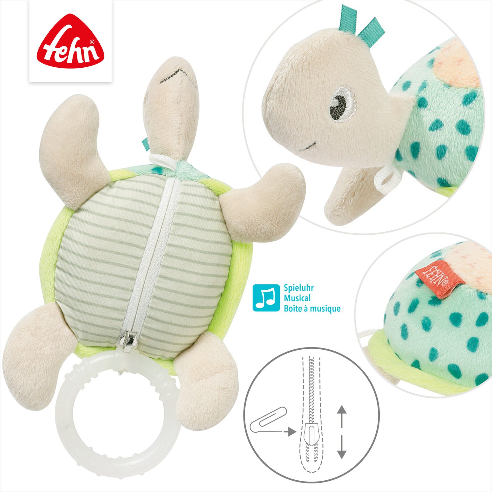 Mini musical turtle