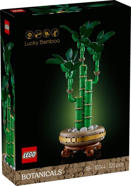 BAMBU' DEL BUON AUSPICIO    10344